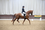 SBM_003264