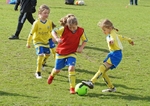 DSC00175