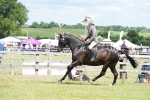 SBM_16189