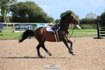 Cls 5 Chard Snr 90cm Speed Derby portfolio