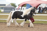 SBM_08418