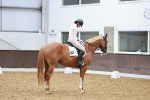 SBM_002053