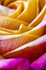 Flower - 2204