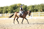 SBM_007845