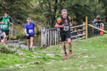 Dovedale Dash-787