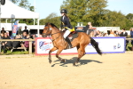 SBM_14951