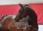 JAC_5248