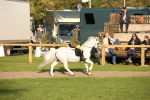 SBM_54344
