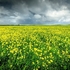 AA-OH-09-North Uist, Outer Hebrides