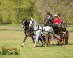 Attelage -693