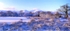 Icy dawn, Pen y Fan, Brecon Beacons EDC258
