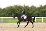 SBM_000184