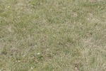 BVHT 140517 N-274