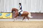 SBM_009010