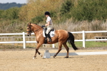 SBM_018647