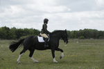 BVHT 140517 -250