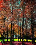 Cinquantenaire Park - November 2012