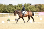 SBM_018131