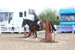 SBM_09931