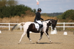 SBM_013653