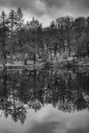 DSC00467-2
