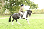 S67 - Piebald & Skewbald Horse Ridden portfolio