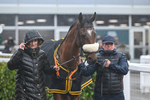 141125-Race 1-Lucky Manifest-8824