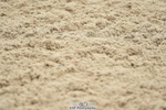 230416A-103408-03837