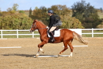 SBM_000977