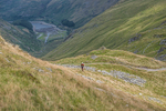Hartsop Hop-174