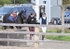 BPP_1198