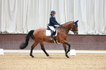 SBM_001264