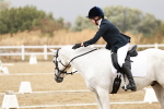 SBM_002815