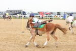 SBM_004353