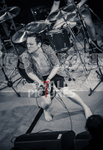 Pigsx7-76