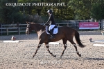 BPP_9347