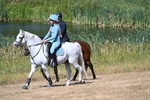 WJ7_8256