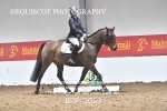 09TH NOVEMBER 2025 - DRESSAGE - MUIRMILL EC portfolio