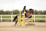 SBM_008654