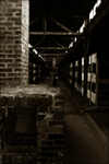Birkenau  hut interior 22 sepia