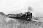 JL - 8.8.21 60163 'Tornado' 1Z69 Carlisle - Hellifield, Greengates