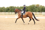 SBM_005961
