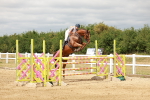 SBM_018339