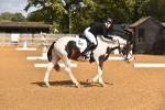 SBM_05594