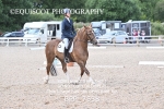 BPP_7538