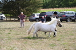 WJ6_6929