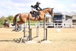 SBM_004613