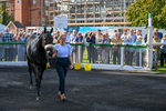 140926-Race 4-Lamlash Bay-3177