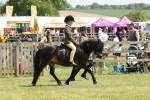SBM_05415