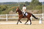 SBM_018746